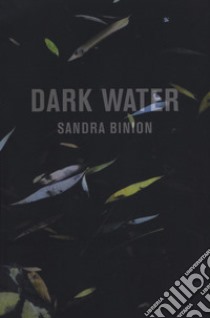 Dark water. Catalogo della mostra (Pisa, 18 marzo-20 maggio 2017). Ediz. italiana e inglese libro di Binion Sandra