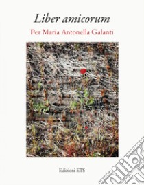Liber amicorum. Per Maria Antonella Galanti libro di Bassi S. (cur.); Fantozzi D. (cur.); Zappaterra T. (cur.)