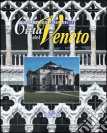 Arte e storia delle città del Veneto libro