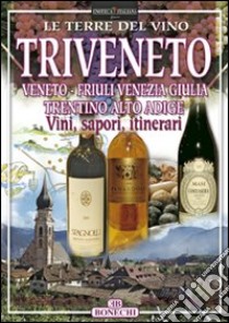 Triveneto libro di Piazzesi Paolo