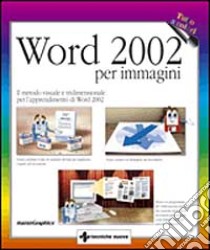 Word 2002 per immagini libro