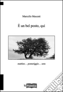 È un bel posto qui. Mattino... pomeriggio... sera libro di Maxenti Marcello