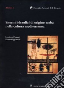 Sistemi idraulici di origine araba nella cultura mediterranea libro di Cessari Luciano; Gigliarelli Elena