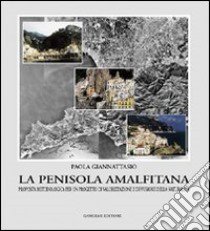 Le trasformazioni e il progetto urbano. Una metodologia operativa per una nuova dialettica tra piano e progetto libro di Giannattasio Paola