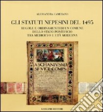 Gli statuti nepesini del 1945. Regole e ordinamenti di un comune dello Stato pontificio tra Medioevo e età moderna libro di Camerano Alessandra