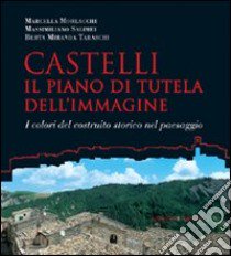 Castelli. Il piano di tutela dell'immagine. I colori del costruito nel paesaggio libro di Morlacchi Marcella; Salimei Massimiliano; Taraschi Berta Miranda