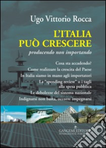 L'Italia può crescere. Producendo non importando libro di Rocca Ugo Vittorio