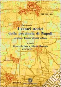 I centri storici della provincia di Napoli libro di De Seta C. (cur.); Buccaro A. (cur.)