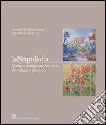 La Napoli alta. Vomero Antignano Arenella da villaggi a quartieri libro di Castanò Francesca; Cirillo Ornella