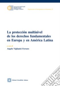 La protección multinivel de los derechos fundamentales en Europa y en América Latina libro di Viglianisi Ferraro A. (cur.)