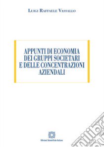 Appunti di economia dei gruppi societari e delle concentrazioni aziendali libro di Vassallo Luigi Raffele