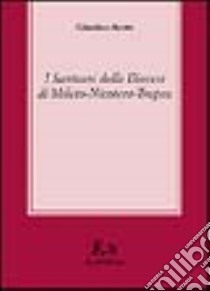 I santuari della diocesi di Mileto-Nicotera-Tropea libro di Aceto Giustina