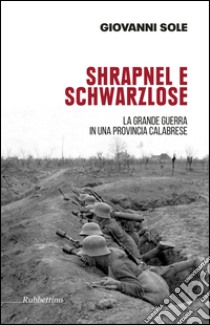 Shrapnel e Schwarzlose. La grande guerra in una provincia calabrese. Ediz. illustrata libro di Sole Giovanni