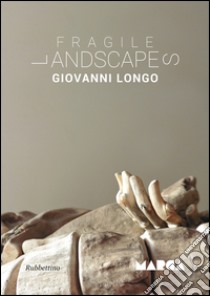 Fragile landscapes libro di Longo Giovanni