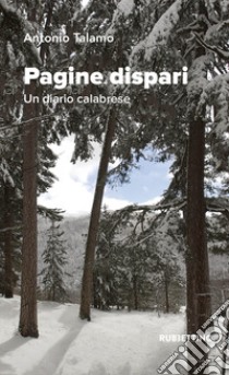 Pagine dispari. Un diario calabrese libro di Talamo Antonio