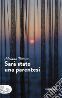 Sarà stato una parentesi libro di Toman Adriana