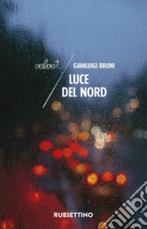 Luce del Nord libro di Bruni Gianluigi