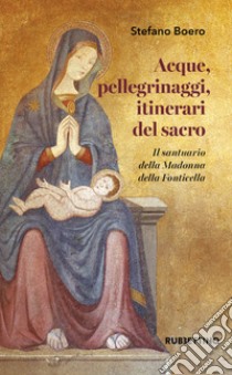 Acque, pellegrinaggi, itinerari del sacro. Il santuario della Madonna della Fonticella libro di Boero Stefano