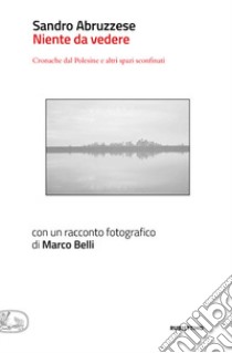 Niente da vedere. Cronaca dal Polesine e altri spazi sconfinati libro di Abruzzese Sandro