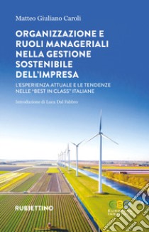 Organizzazione e ruoli manageriali nella gestione sostenibile dell'impresa. L'esperienza attuale e le tendenze nelle «best in class» italiane libro di Caroli Giuliano Matteo