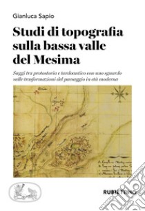 Studi di topografia sulla bassa valle del Mesima. Saggi tra protostoria e tardoantico con uno sguardo sulle trasformazioni del paesaggio in età moderna libro di Sapio Gianluca