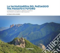 La salvaguardia del paesaggio tra passato e futuro. Il paesaggio naturale, urbano e storico tra Reggio Calabria e Vibo Valentia libro di Cicero R. (cur.)