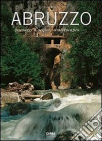 Abruzzo. Paesaggi d'acqua-Waterscapes libro di Burri Ezio