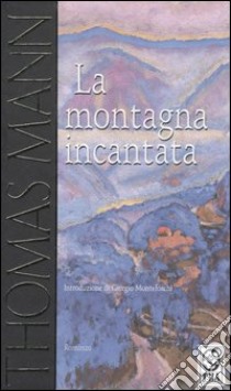 La montagna incantata libro di Mann Thomas