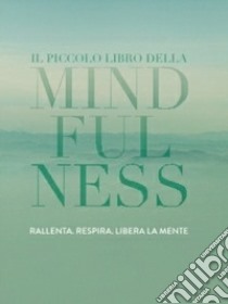 Il piccolo libro della mindfulness libro di Rowan Tiddy