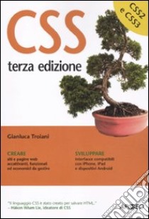 CSS libro di Troiani Gianluca