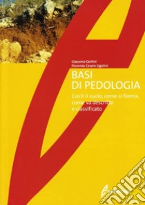 Basi di pedologia. Cos'è il suolo, come si forma, come va descritto e classificato libro di Certini Giacomo; Ugolini Fiorenzo Cesare