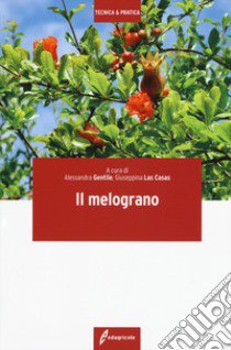 Il melograno libro di Gentile A. (cur.); Las Casas G. (cur.)