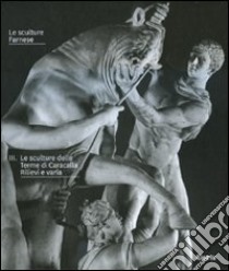 Le sculture Farnese. Ediz. illustrata. Vol. 3: Le sculture delle Terme di Caracalla. Rilievi a varia libro di Gasparri C. (cur.)