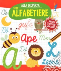 Il mio alfabetiere. Ediz. a colori. Ediz. a spirale libro di Floreale Monica