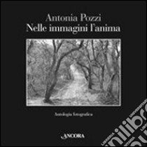 Nelle immagini l'anima. Antologia fotografica libro di Pozzi Antonia; Dino O. (cur.); Pellegatta L. (cur.)