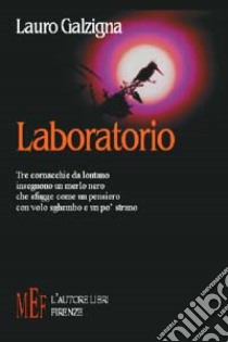 Laboratorio libro di Galzigna Lauro