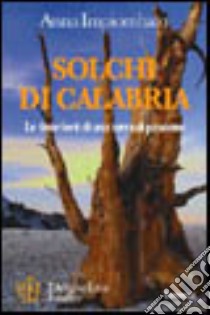 Solchi di Calabria. Le tinte forti di una terra di passione libro di Impiombato Anna