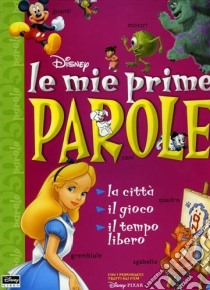 La citta, il gioco, il tempo libero libro