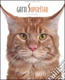 Gatti superstar. Ediz. illustrata libro di Capra Flavia; Petroni Fabio