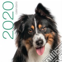 Cani. Calendario da muro 2020 libro