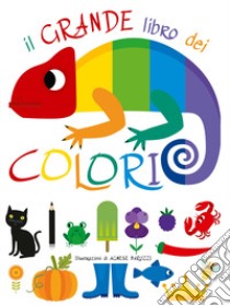 Il grande libro dei colori. Ediz. a colori libro di Baruzzi Agnese