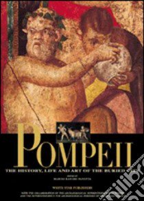 Pompeii. Ediz. illustrata libro di Ranieri Panetta Marisa