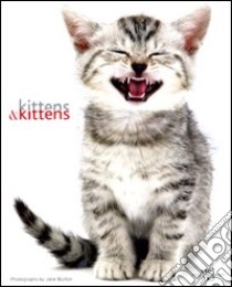 Kittens & kittens. Ediz. illustrata libro di Burton Jane