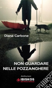 Non guardare nelle pozzanghere libro di Carbone Diana