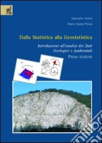 Dalla statistica alla geostatistica. Introduzione all'analisi dei dati geologici e ambientali libro di Ciotoli Giancarlo; Finoia M. Grazia