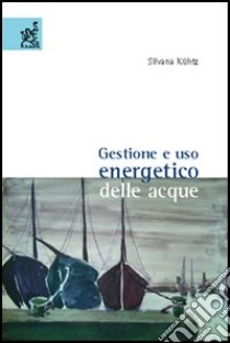 Gestione e uso energetico delle acque libro di Kühtz Silvana