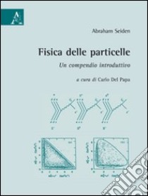 Fisica delle particelle. Un compendio introduttivo libro di Seiden Abraham; Del Papa C. (cur.)