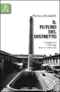 Il futuro del distretto. Atteggiamenti e strategie degli attori locali libro di Birindelli Pierluca