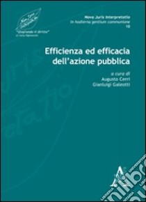 Nova juris interpretatio in hodierna gentium communione. Vol. 10: Efficienza ed efficacia dell'azione pubbica libro di Cerri A. (cur.); Galeotti G. (cur.)