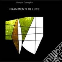 Frammenti di luce libro di Comoglio Giorgio